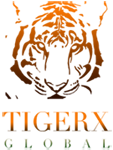 TIGER X GLOBAL - EDITING, GHOSTWRITING, COPYWRITING, WEB CONTENT AND SEO